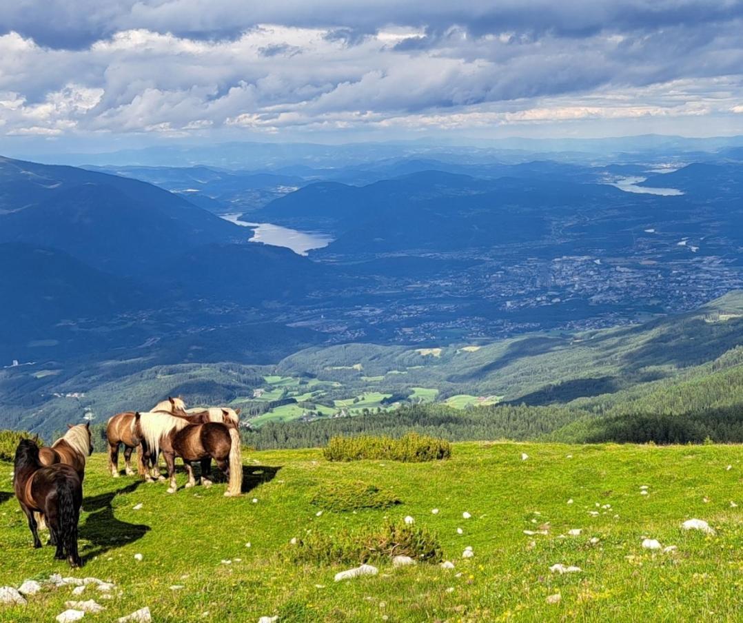 Direkter Seezugang Am Ossiacher See, Radfahren, Wandern & Erlebniscard Villach Exterior photo